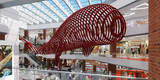 Red Whale 2